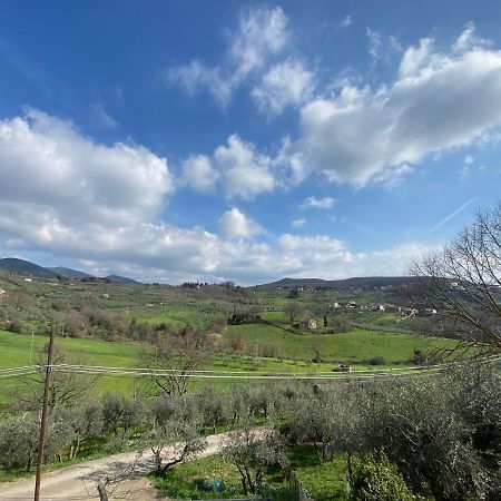 La Casa Di Diana Villa Montecchio  Bagian luar foto